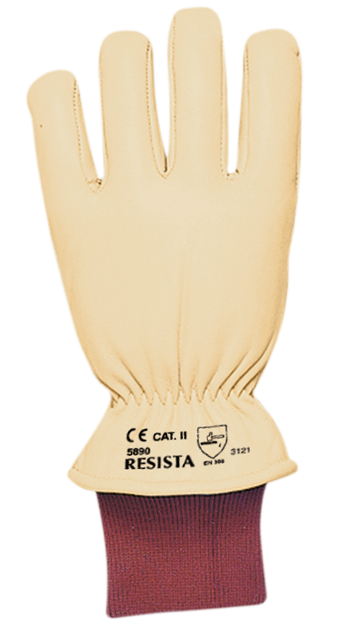 Gants de protection anti-froid RESISTA-EXTRA Tinsulat, 9/L