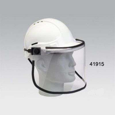 Ecran de rechange pour ELECTROLON PROTECTOR