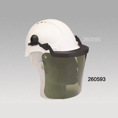 Ecran en polycarbonate teinté vert à l'article 260238